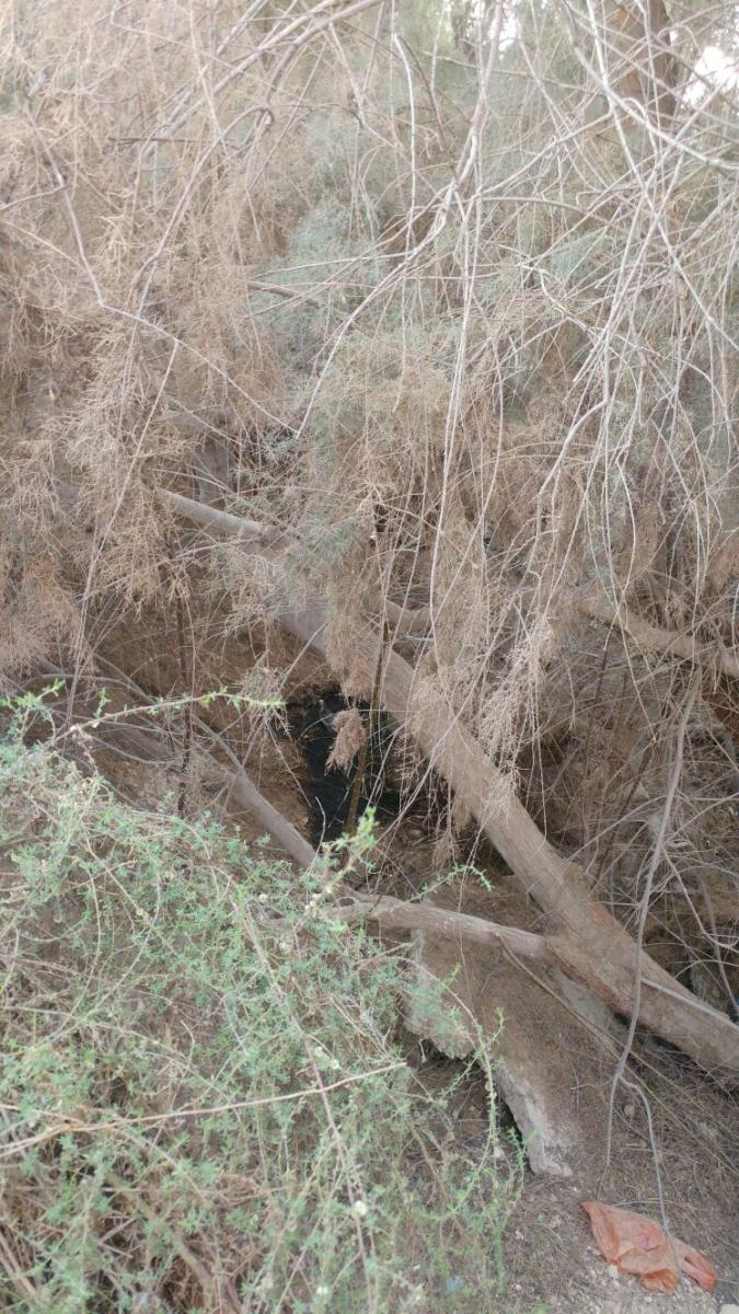 הבור בו נמצאה הגופה (צילום סלולרי)